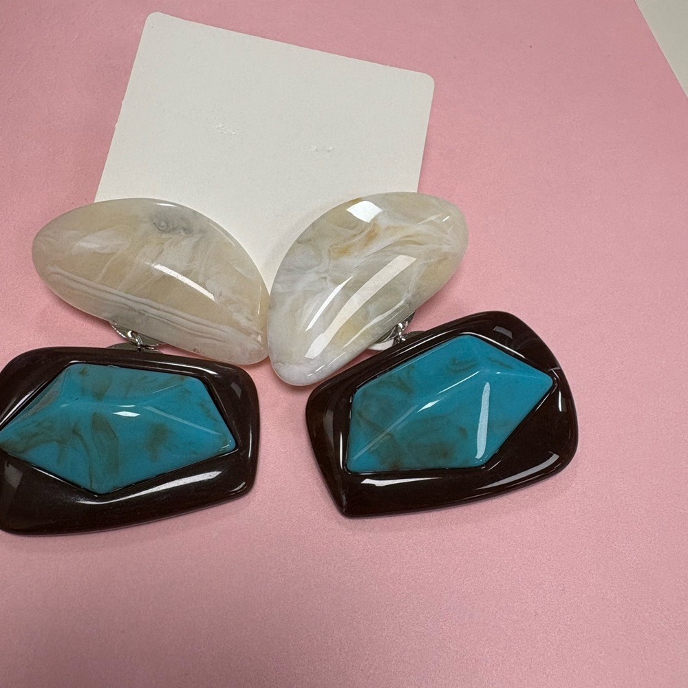 Elegant Turquoise and Brown Earrings